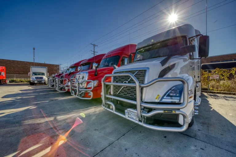 Arrow Trans Corp semi-trucks lined up in a sunny yard, a white truck with a chrome grille guard in front of red trucks