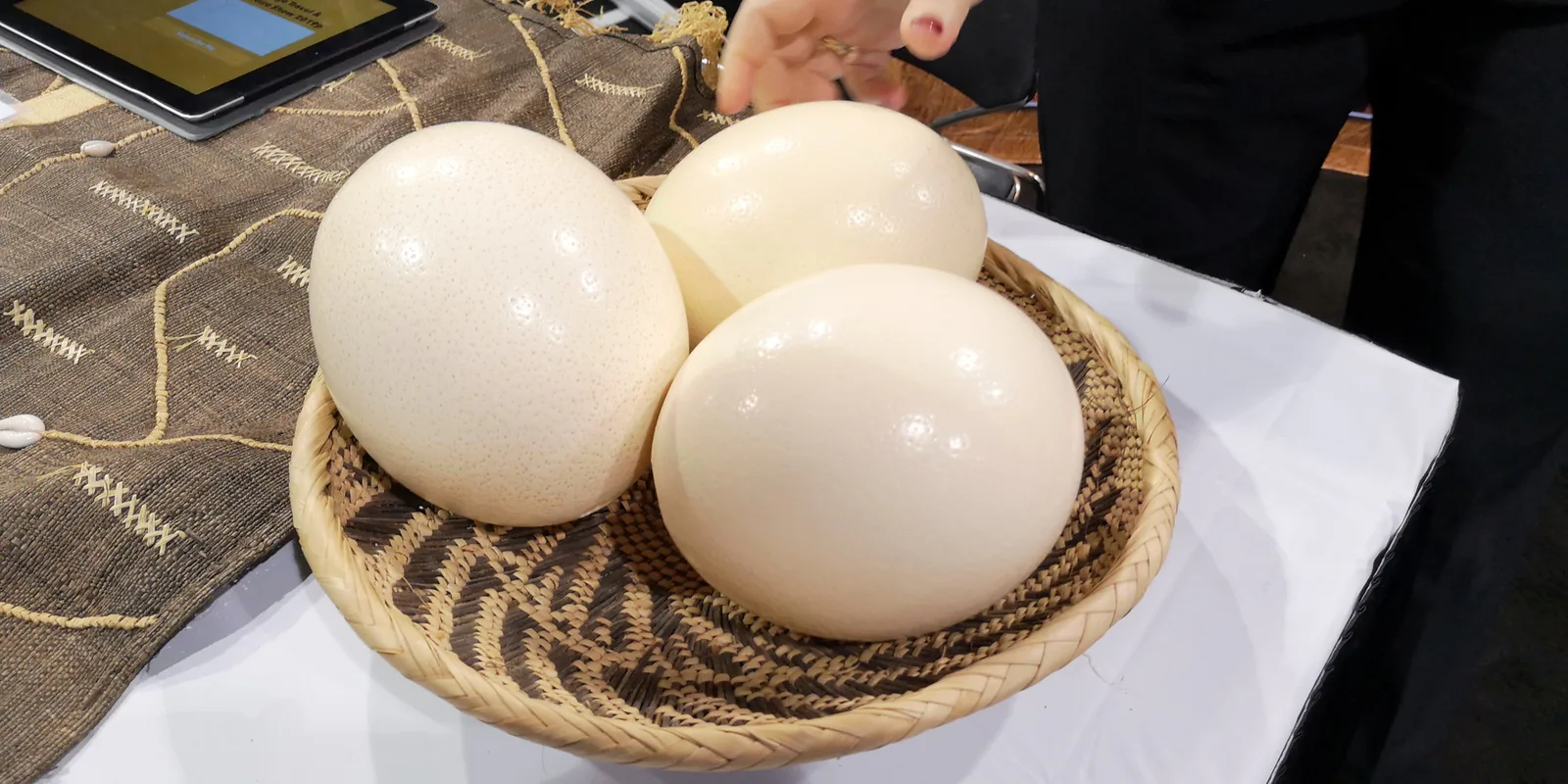 Three ostrich eggs in a woven basket on the Adventure To Africa booth table at the Chicago Travel & Adventure Show 2019